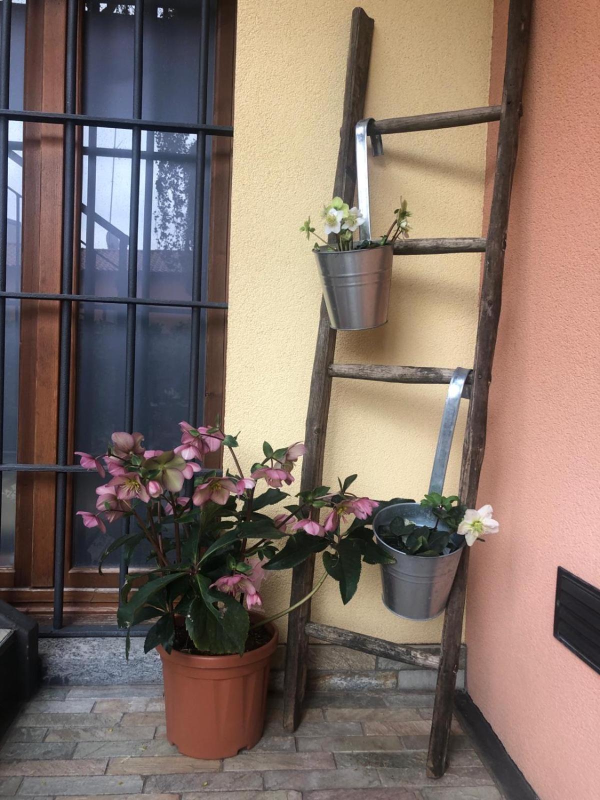 A Due Passi Dal Castello Bed and Breakfast Somma Lombardo Eksteriør billede